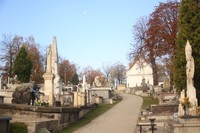 grobowce na cmentarzu
