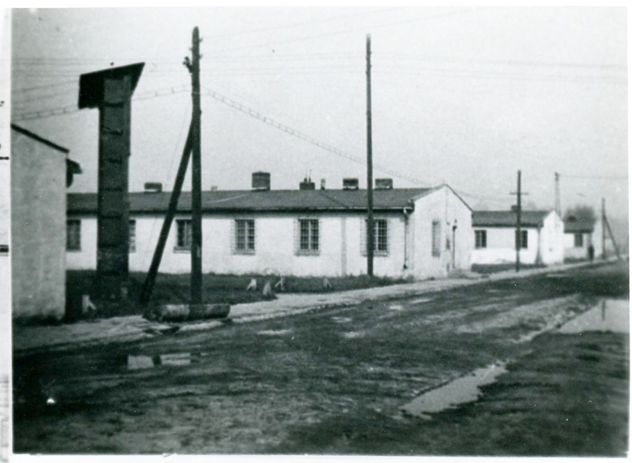 Baraki podobozu Łagisza, stan z 1964 r. 